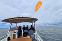Libertykite-bateau.webp