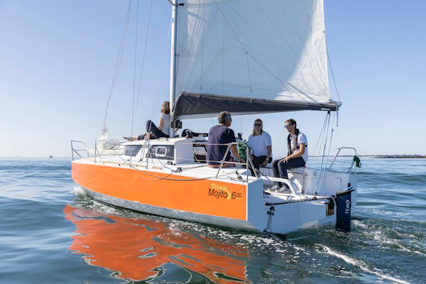 Moteur électrique voiliers 1000W.webp