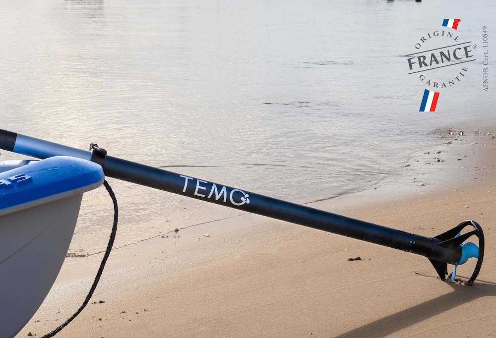 [EMOT-MOT-006] TEMO 450