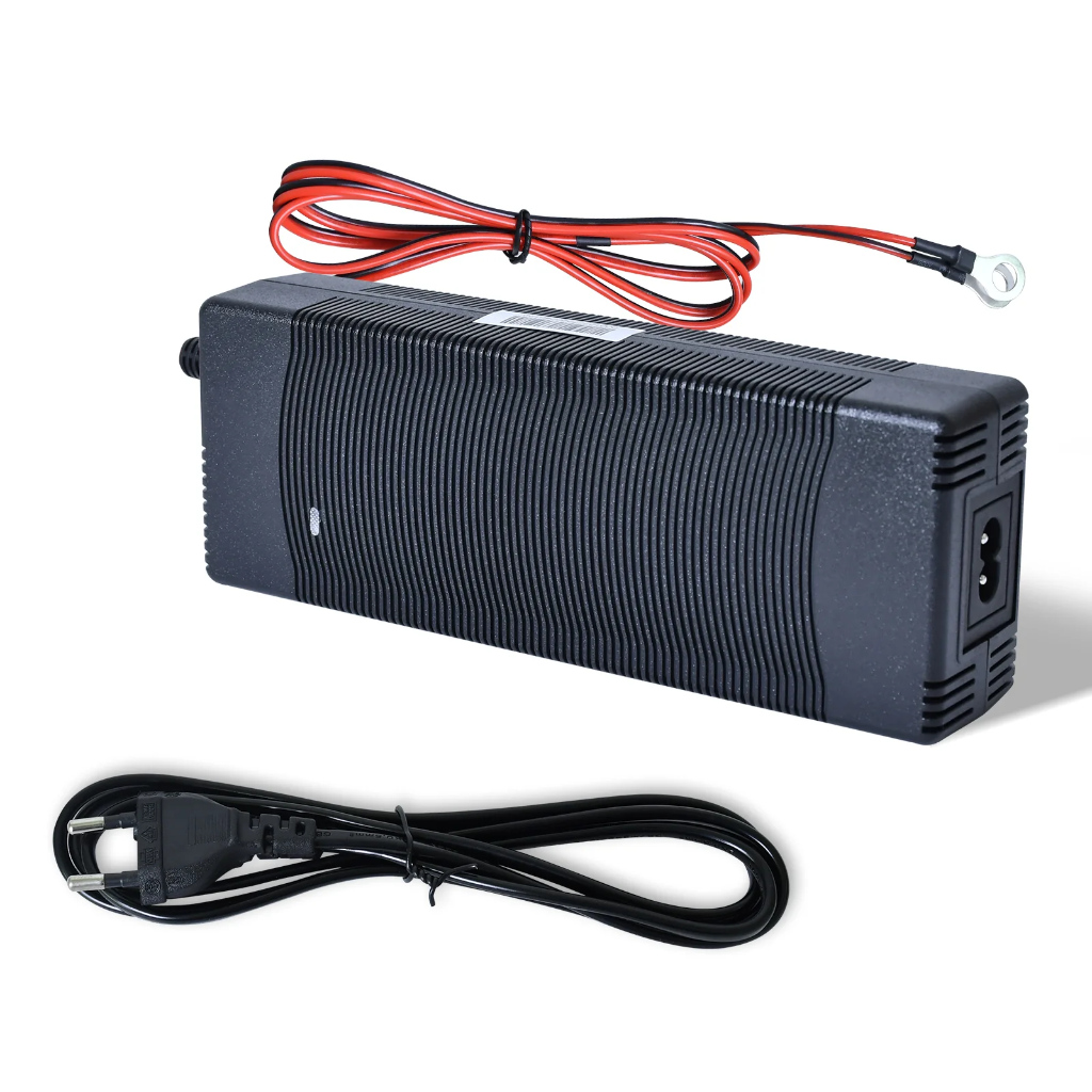 Caricabatterie rapido (10 A) per batteria LiFePO4